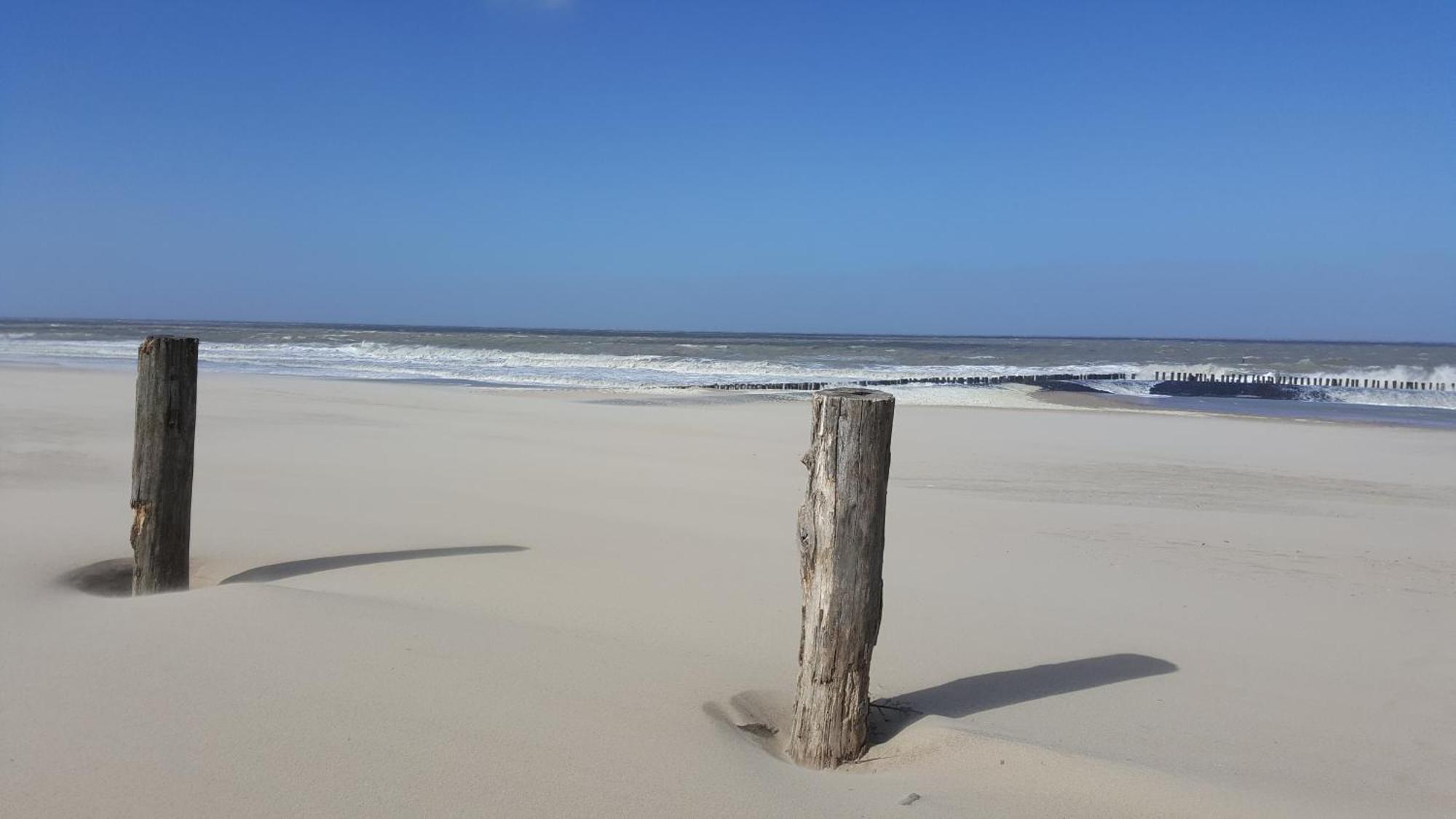 Lamsoor 14* Vakantiehuis Nieuwvliet